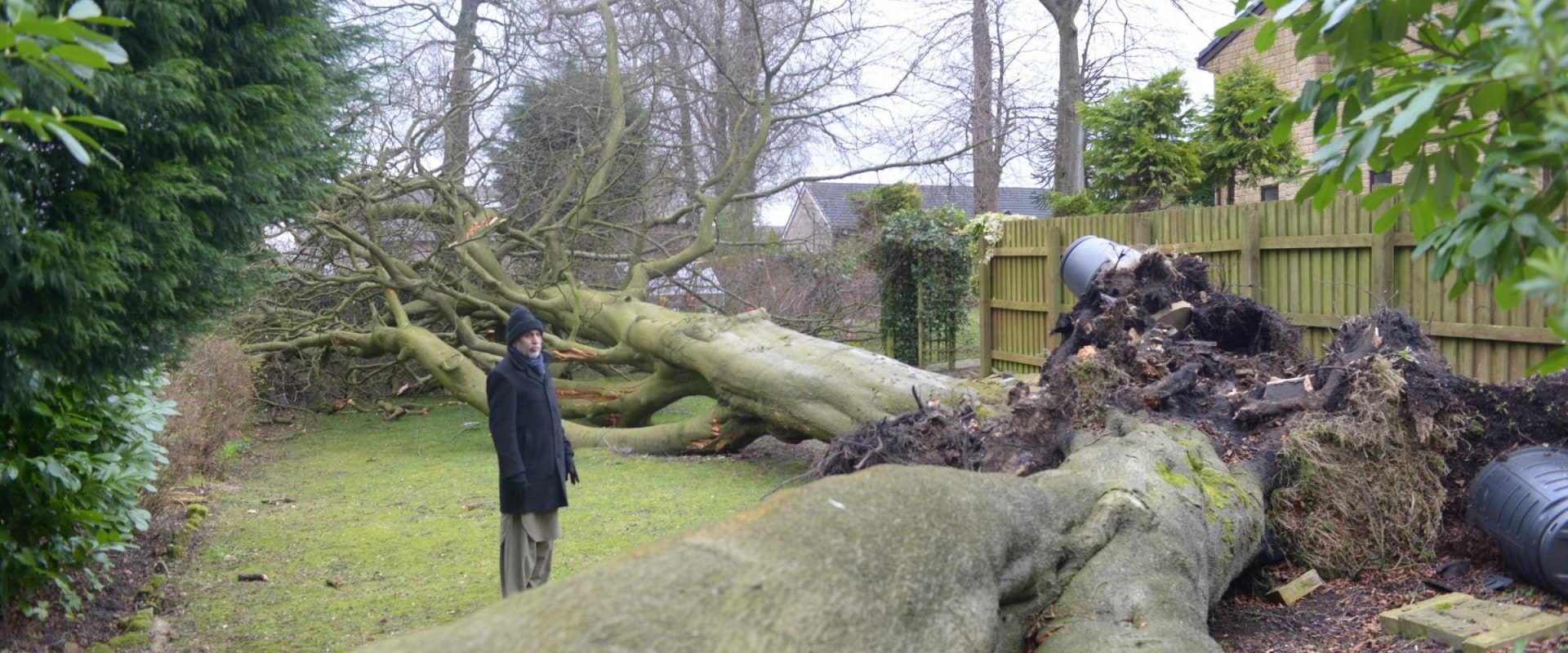 Do I need permission to cut down a tree on my property Scotland?