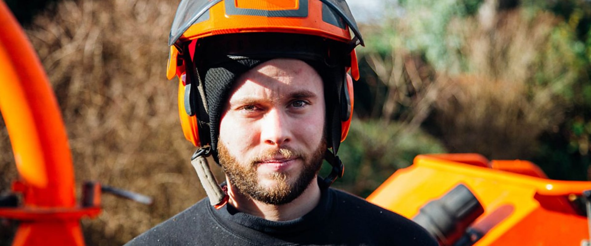 What is a tree surgeon in the uk?