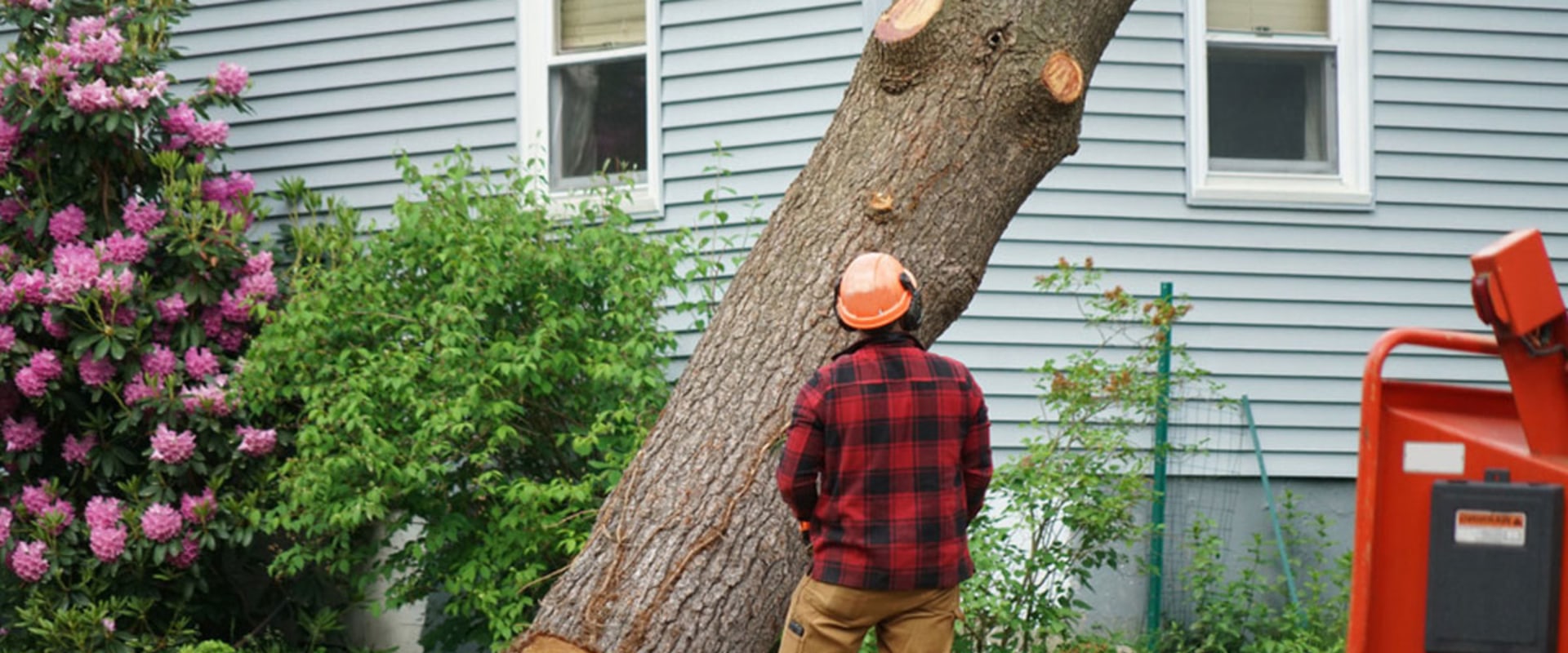 How much do tree surgeons make in america?