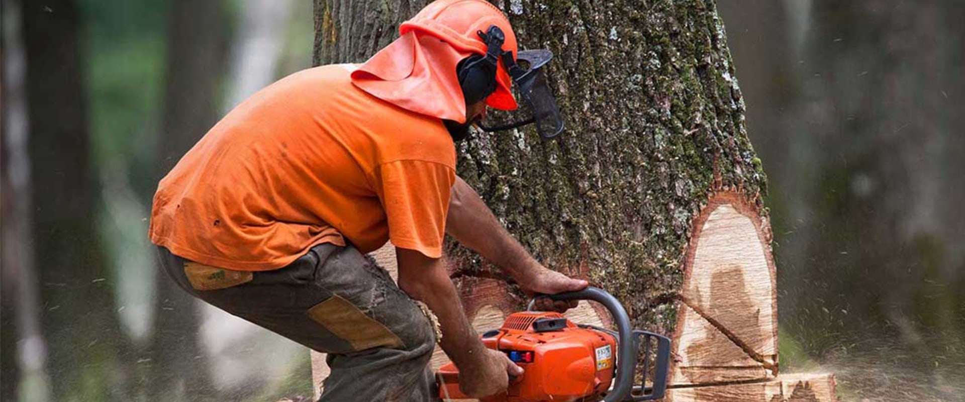 How much does it cost to cut down a large tree uk?