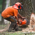 How much does it cost to remove a large tree uk?