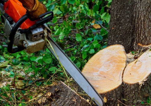 How much do tree cutters make uk?