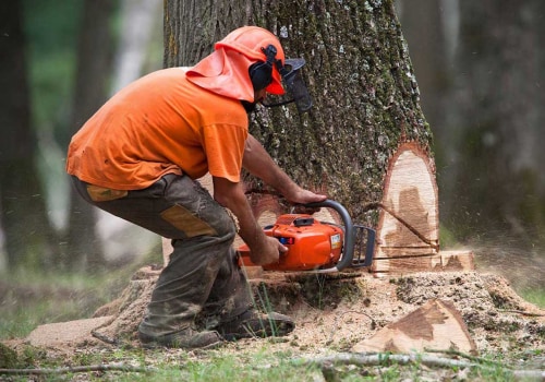How much does it cost to cut down a 20 foot tree uk?